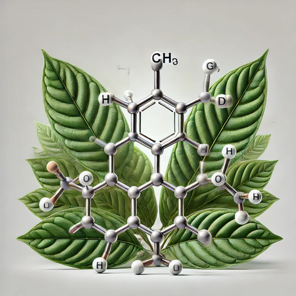 kratom mitragynin