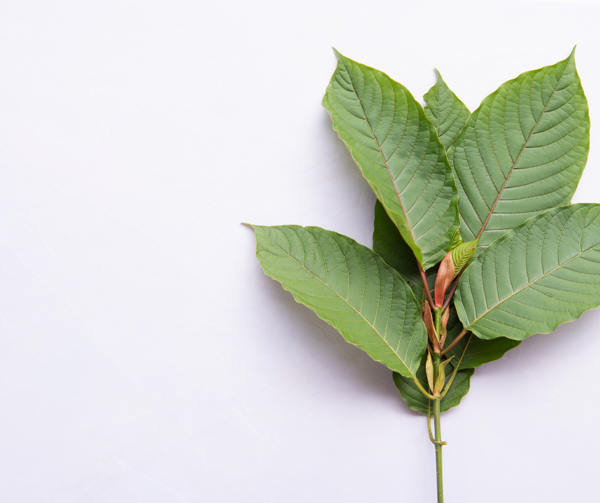 Kratom